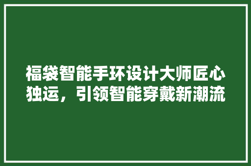 福袋智能手环设计大师匠心独运，引领智能穿戴新潮流