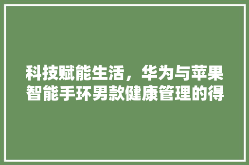 科技赋能生活，华为与苹果智能手环男款健康管理的得力助手