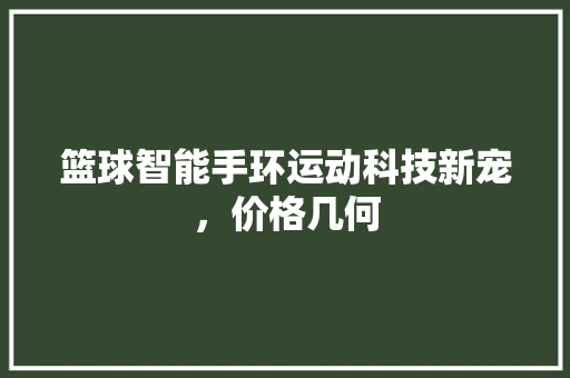 篮球智能手环运动科技新宠，价格几何