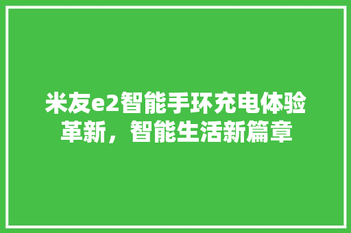 米友e2智能手环充电体验革新，智能生活新篇章