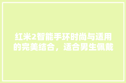 红米2智能手环时尚与适用的完美结合，适合男生佩戴的智能健康伙伴