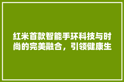 红米首款智能手环科技与时尚的完美融合，引领健康生活新潮流