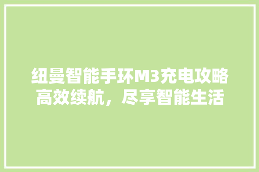 纽曼智能手环M3充电攻略高效续航，尽享智能生活