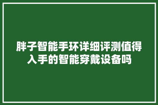 胖子智能手环详细评测值得入手的智能穿戴设备吗