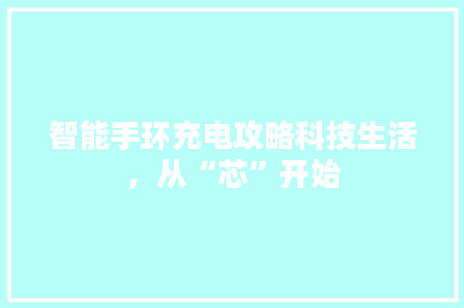 智能手环充电攻略科技生活，从“芯”开始