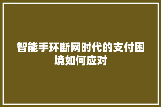 智能手环断网时代的支付困境如何应对