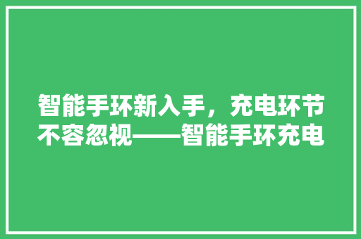 智能手环新入手，充电环节不容忽视——智能手环充电那些事儿