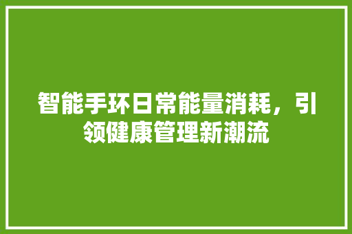 智能手环日常能量消耗，引领健康管理新潮流