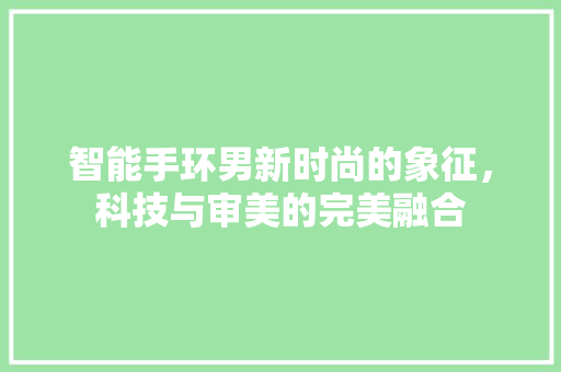 智能手环男新时尚的象征，科技与审美的完美融合