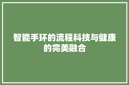 智能手环的流程科技与健康的完美融合