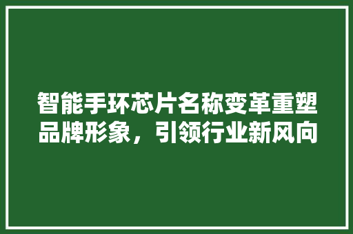 智能手环芯片名称变革重塑品牌形象，引领行业新风向