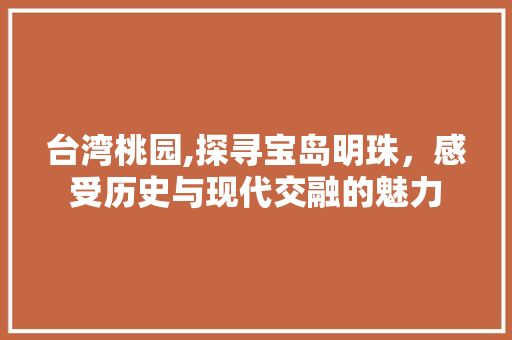 台湾桃园,探寻宝岛明珠，感受历史与现代交融的魅力