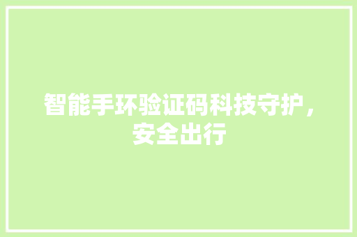 智能手环验证码科技守护，安全出行