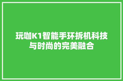 玩咖K1智能手环拆机科技与时尚的完美融合