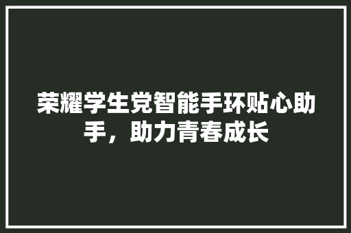 荣耀学生党智能手环贴心助手，助力青春成长