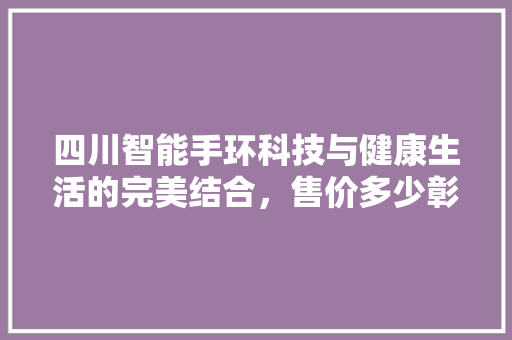 四川智能手环科技与健康生活的完美结合，售价多少彰显品质