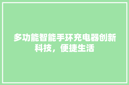 多功能智能手环充电器创新科技，便捷生活