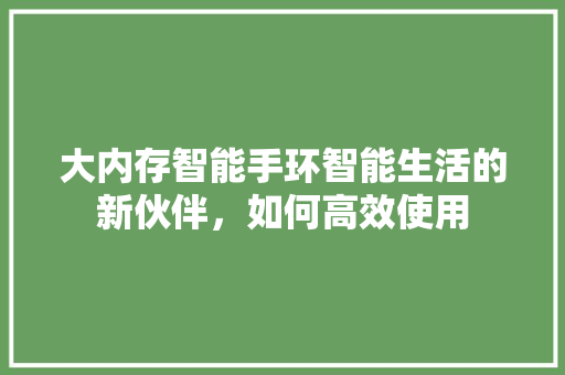 大内存智能手环智能生活的新伙伴，如何高效使用