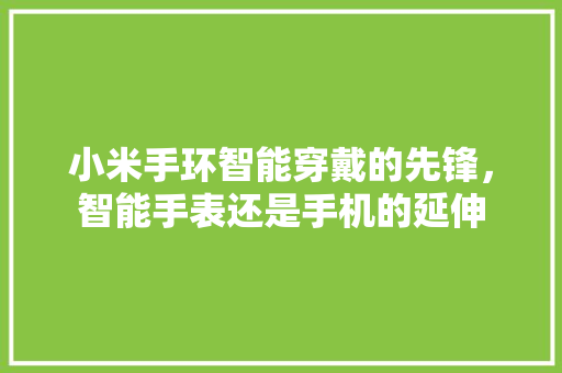 小米手环智能穿戴的先锋，智能手表还是手机的延伸  第1张