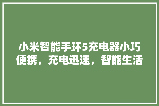 小米智能手环5充电器小巧便携，充电迅速，智能生活新选择