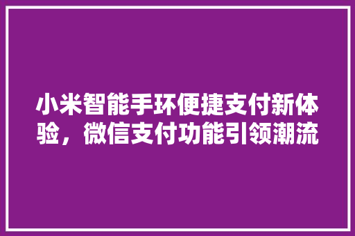 小米智能手环便捷支付新体验，微信支付功能引领潮流