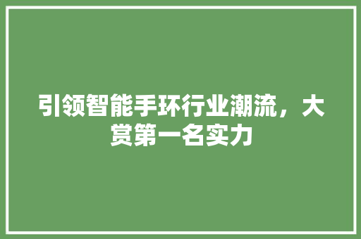 引领智能手环行业潮流，大赏第一名实力  第1张