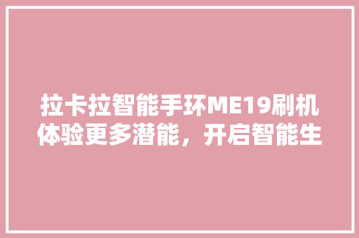 拉卡拉智能手环ME19刷机体验更多潜能，开启智能生活新篇章  第1张