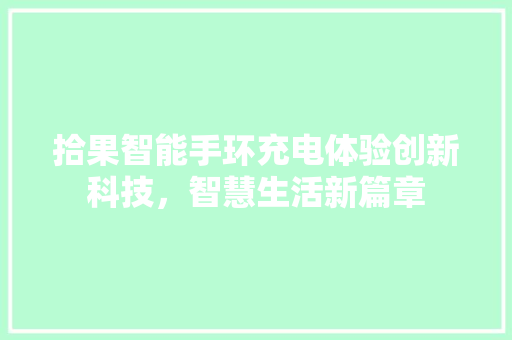 拾果智能手环充电体验创新科技，智慧生活新篇章