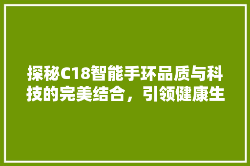 探秘C18智能手环品质与科技的完美结合，引领健康生活新潮流