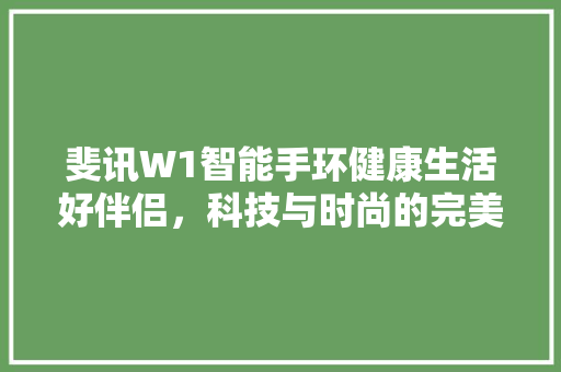 斐讯W1智能手环健康生活好伴侣，科技与时尚的完美融合  第1张