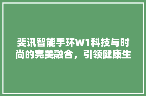 斐讯智能手环W1科技与时尚的完美融合，引领健康生活新潮流