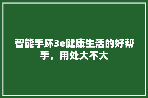 智能手环3e健康生活的好帮手，用处大不大