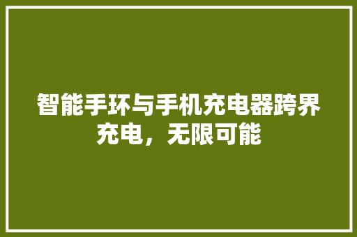 智能手环与手机充电器跨界充电，无限可能