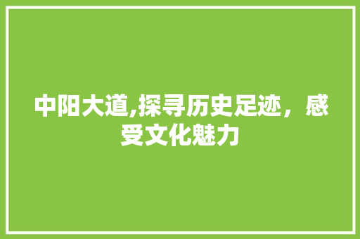 中阳大道,探寻历史足迹，感受文化魅力