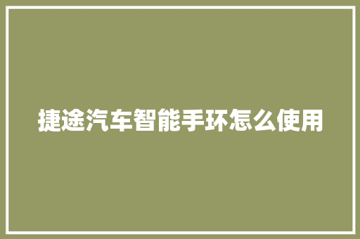 捷途汽车智能手环怎么使用  第1张