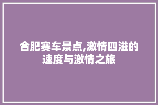 合肥赛车景点,激情四溢的速度与激情之旅