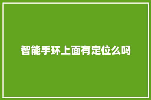 智能手环上面有定位么吗  第1张