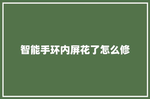 智能手环内屏花了怎么修  第1张