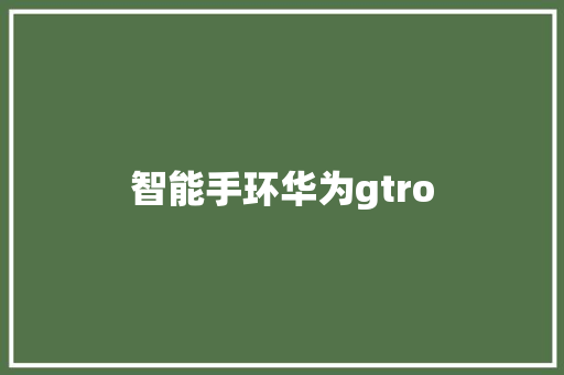 智能手环华为gtro  第1张