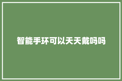 智能手环可以天天戴吗吗  第1张