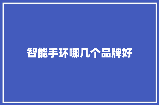 智能手环哪几个品牌好  第1张