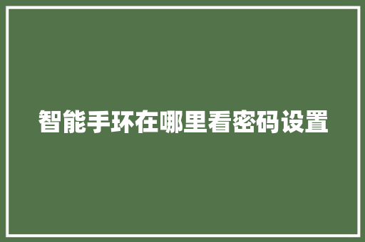 智能手环在哪里看密码设置  第1张