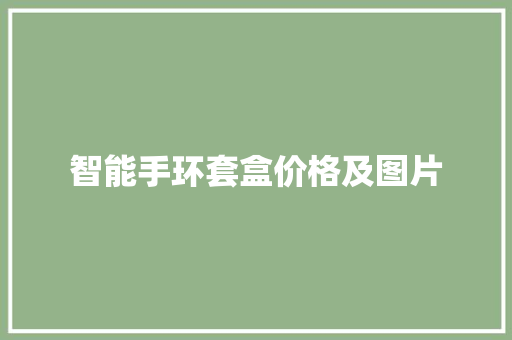 智能手环套盒价格及图片