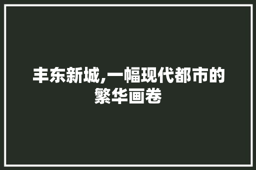 丰东新城,一幅现代都市的繁华画卷