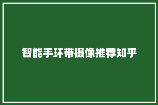 智能手环带摄像推荐知乎