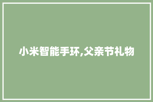 小米智能手环,父亲节礼物  第1张