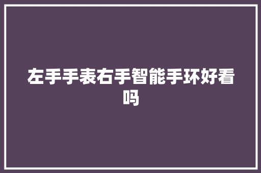 左手手表右手智能手环好看吗