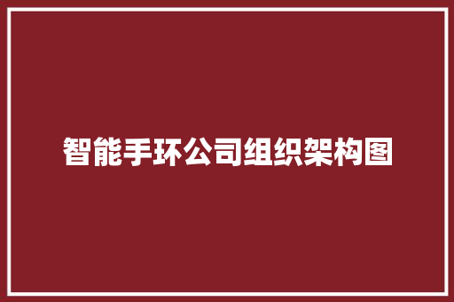 智能手环公司组织架构图