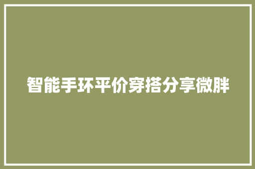 智能手环平价穿搭分享微胖  第1张