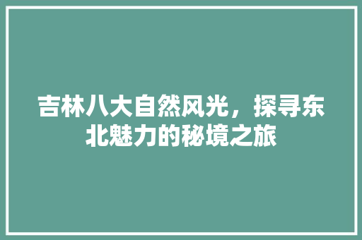 吉林八大自然风光，探寻东北魅力的秘境之旅